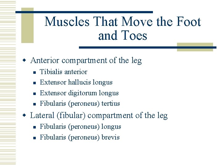 Muscles That Move the Foot and Toes w Anterior compartment of the leg n