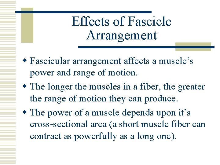 Effects of Fascicle Arrangement w Fascicular arrangement affects a muscle’s power and range of