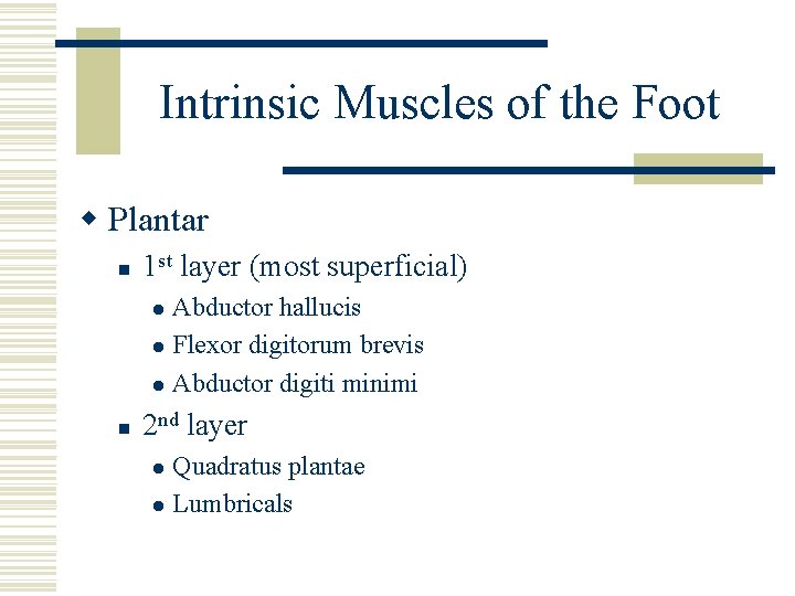 Intrinsic Muscles of the Foot w Plantar n 1 st layer (most superficial) Abductor