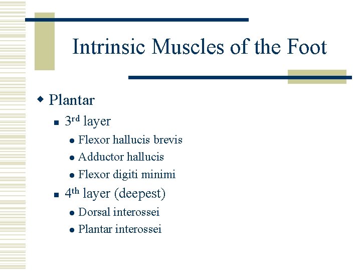Intrinsic Muscles of the Foot w Plantar n 3 rd layer Flexor hallucis brevis