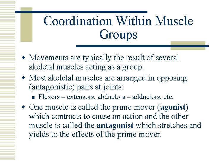 Coordination Within Muscle Groups w Movements are typically the result of several skeletal muscles