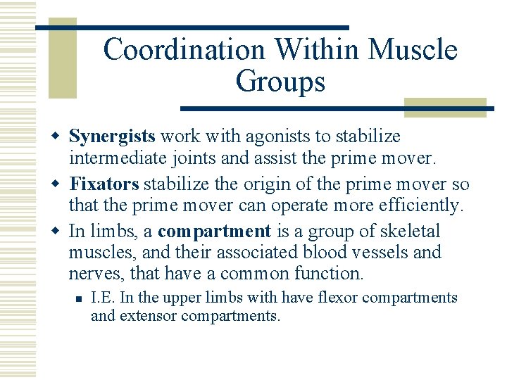 Coordination Within Muscle Groups w Synergists work with agonists to stabilize intermediate joints and