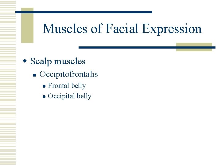 Muscles of Facial Expression w Scalp muscles n Occipitofrontalis Frontal belly l Occipital belly