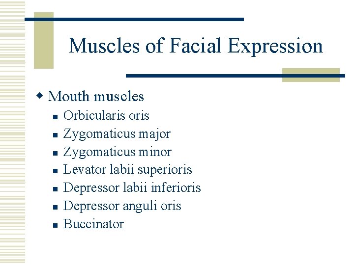 Muscles of Facial Expression w Mouth muscles n n n n Orbicularis oris Zygomaticus