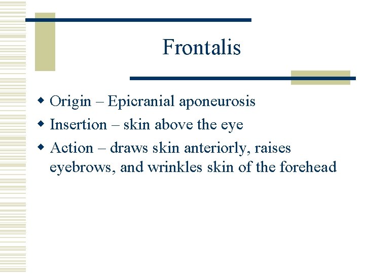 Frontalis w Origin – Epicranial aponeurosis w Insertion – skin above the eye w