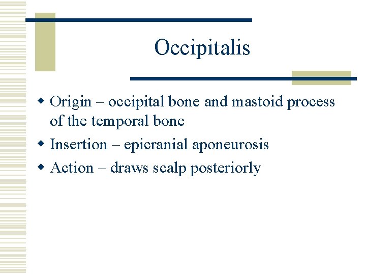 Occipitalis w Origin – occipital bone and mastoid process of the temporal bone w
