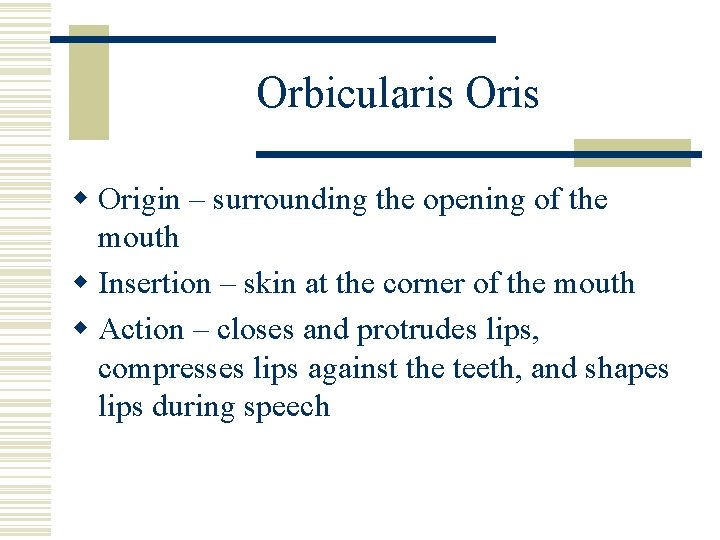 Orbicularis Oris w Origin – surrounding the opening of the mouth w Insertion –