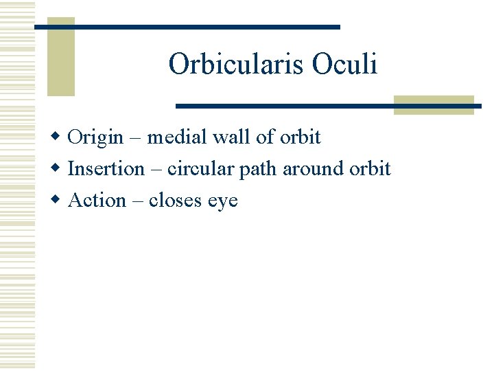 Orbicularis Oculi w Origin – medial wall of orbit w Insertion – circular path
