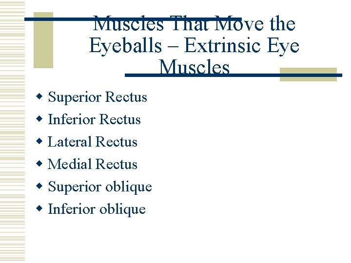 Muscles That Move the Eyeballs – Extrinsic Eye Muscles w Superior Rectus w Inferior