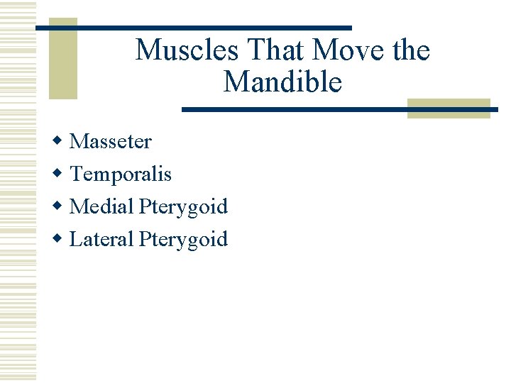 Muscles That Move the Mandible w Masseter w Temporalis w Medial Pterygoid w Lateral
