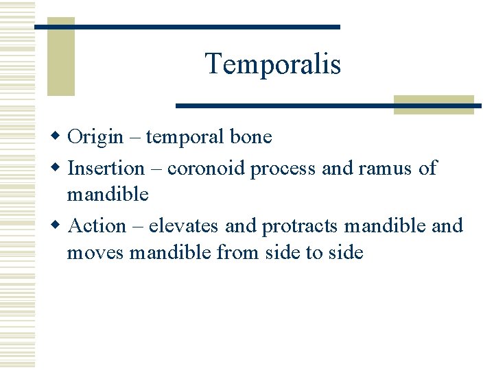 Temporalis w Origin – temporal bone w Insertion – coronoid process and ramus of