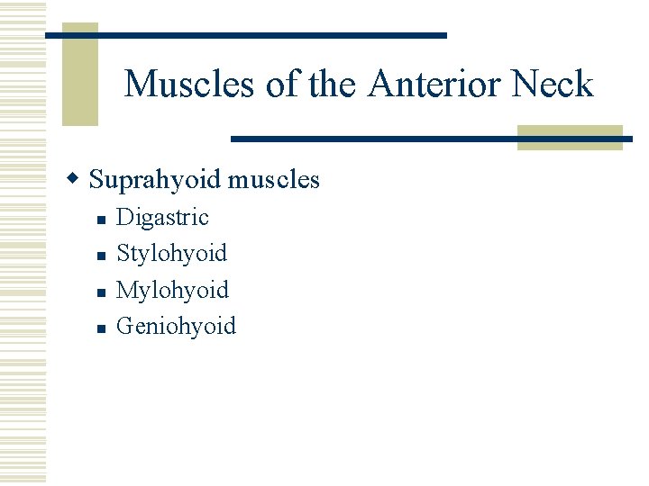 Muscles of the Anterior Neck w Suprahyoid muscles n n Digastric Stylohyoid Mylohyoid Geniohyoid