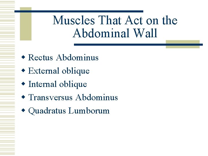 Muscles That Act on the Abdominal Wall w Rectus Abdominus w External oblique w