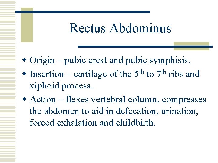 Rectus Abdominus w Origin – pubic crest and pubic symphisis. w Insertion – cartilage