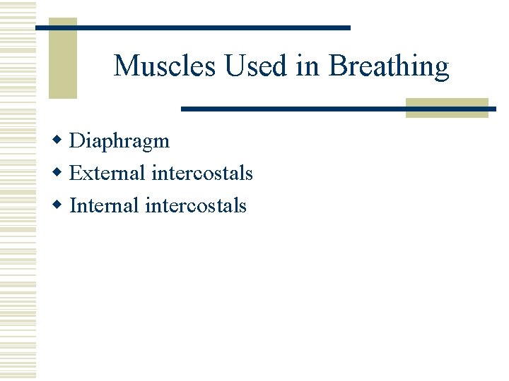 Muscles Used in Breathing w Diaphragm w External intercostals w Internal intercostals 