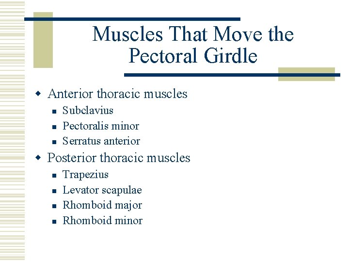 Muscles That Move the Pectoral Girdle w Anterior thoracic muscles n n n Subclavius