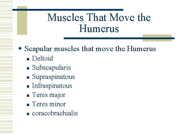 Muscles That Move the Humerus w Scapular muscles that move the Humerus n n