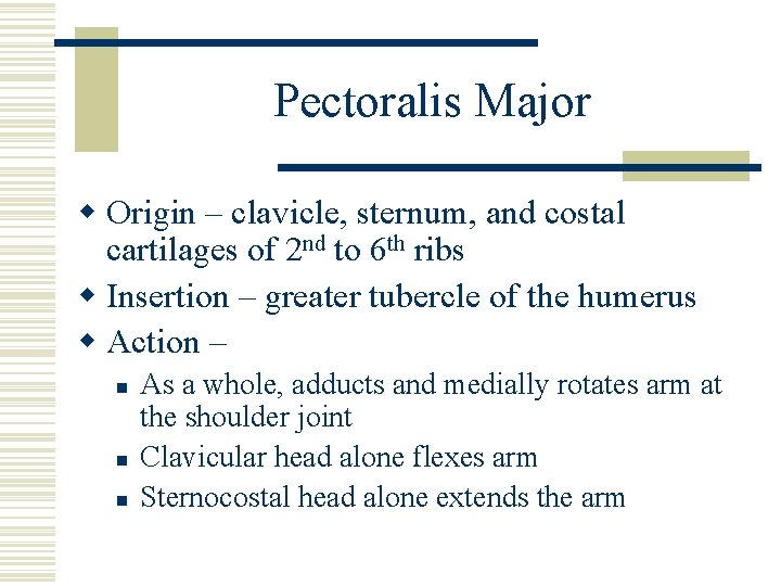 Pectoralis Major w Origin – clavicle, sternum, and costal cartilages of 2 nd to