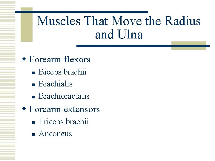 Muscles That Move the Radius and Ulna w Forearm flexors n n n Biceps