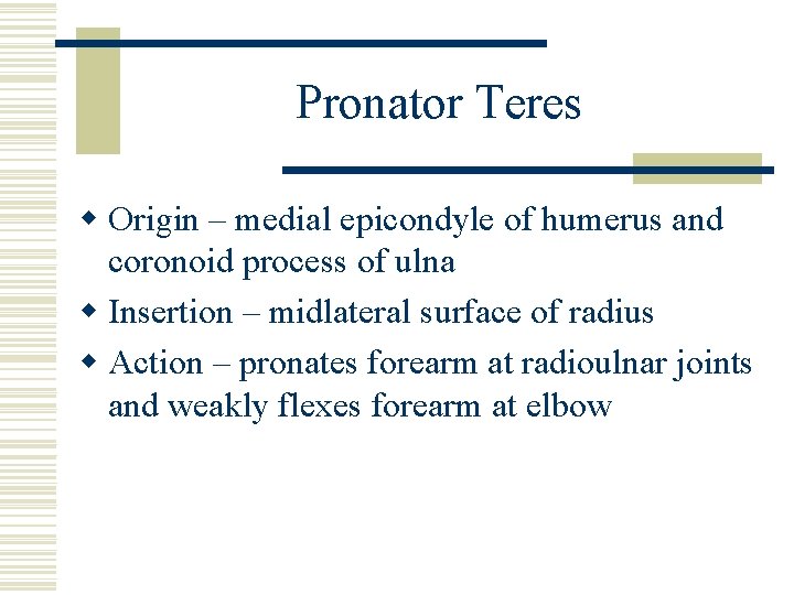 Pronator Teres w Origin – medial epicondyle of humerus and coronoid process of ulna