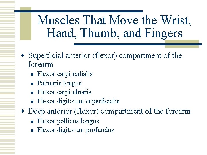 Muscles That Move the Wrist, Hand, Thumb, and Fingers w Superficial anterior (flexor) compartment