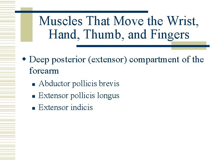 Muscles That Move the Wrist, Hand, Thumb, and Fingers w Deep posterior (extensor) compartment