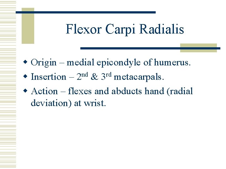 Flexor Carpi Radialis w Origin – medial epicondyle of humerus. w Insertion – 2