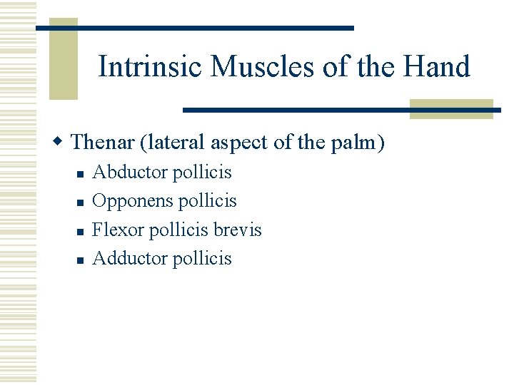 Intrinsic Muscles of the Hand w Thenar (lateral aspect of the palm) n n