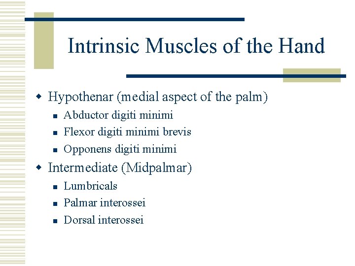 Intrinsic Muscles of the Hand w Hypothenar (medial aspect of the palm) n n