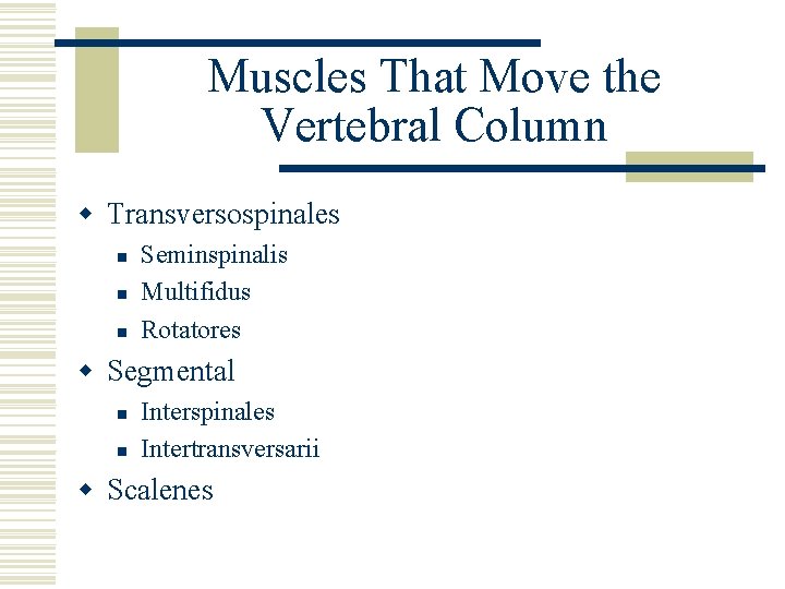 Muscles That Move the Vertebral Column w Transversospinales n n n Seminspinalis Multifidus Rotatores