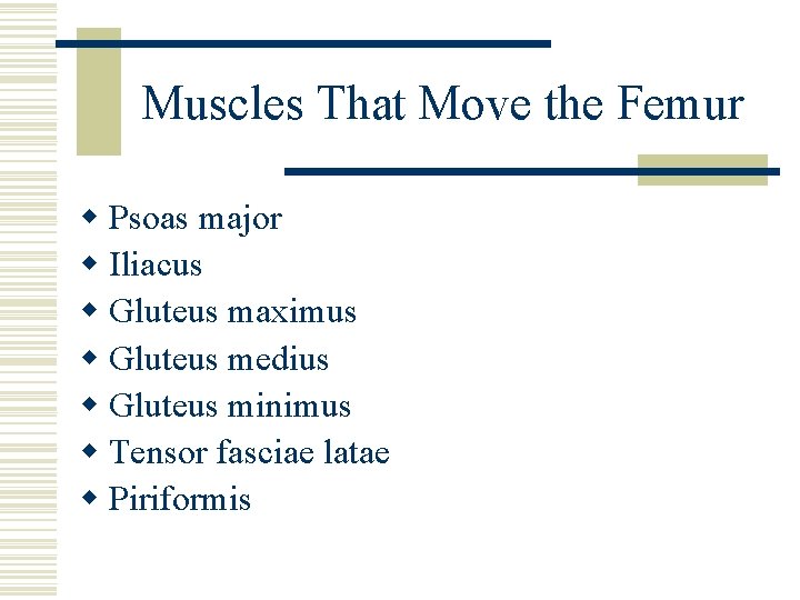 Muscles That Move the Femur w Psoas major w Iliacus w Gluteus maximus w
