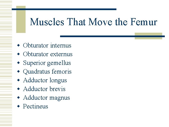 Muscles That Move the Femur w w w w Obturator internus Obturator externus Superior
