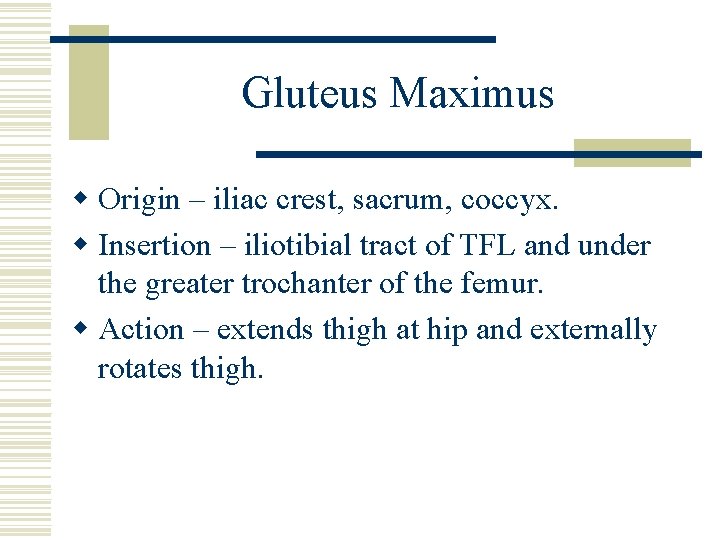 Gluteus Maximus w Origin – iliac crest, sacrum, coccyx. w Insertion – iliotibial tract