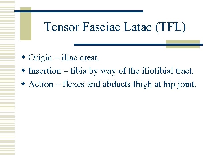 Tensor Fasciae Latae (TFL) w Origin – iliac crest. w Insertion – tibia by