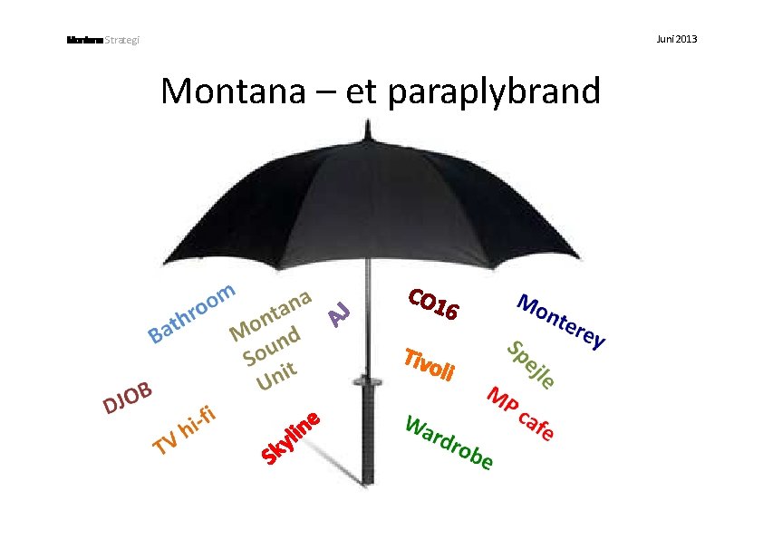 Juni 2013 Strategi Montana – et paraplybrand 