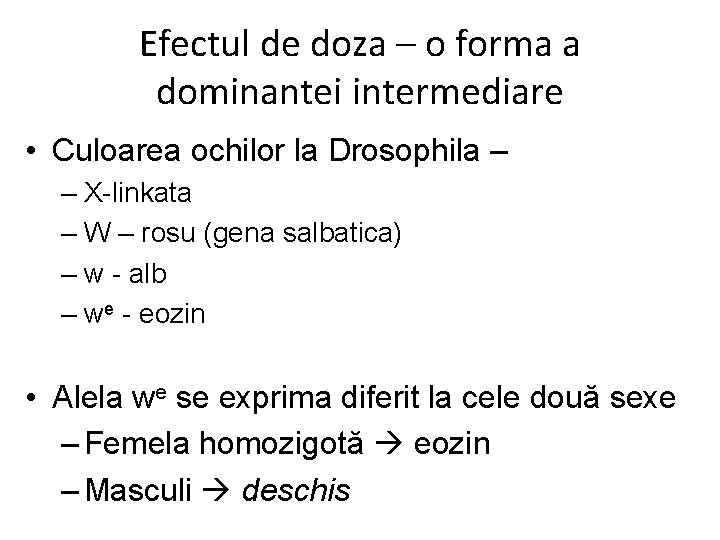 Efectul de doza – o forma a dominantei intermediare • Culoarea ochilor la Drosophila