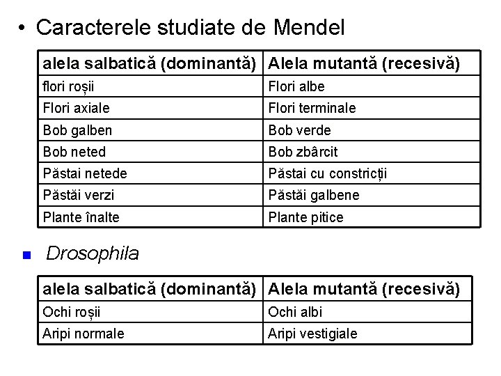  • Caracterele studiate de Mendel alela salbatică (dominantă) Alela mutantă (recesivă) n flori