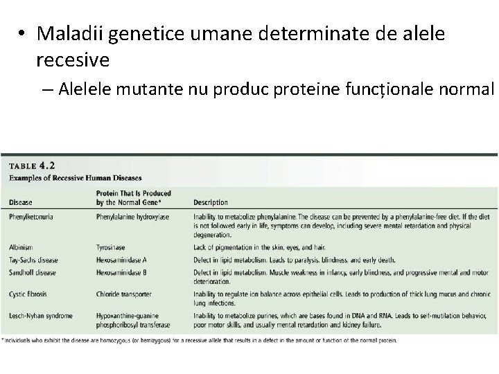  • Maladii genetice umane determinate de alele recesive – Alelele mutante nu produc