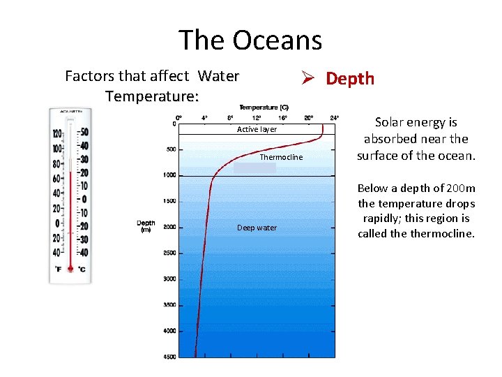 The Oceans Factors that affect Water Temperature: Ø Depth Active layer Thermocline Deep water