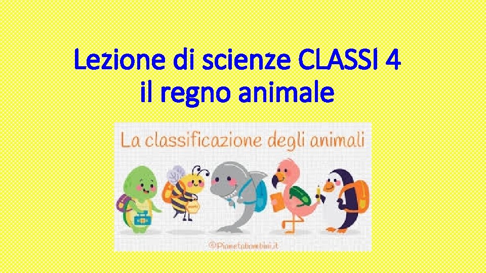 Lezione di scienze CLASSI 4 il regno animale 