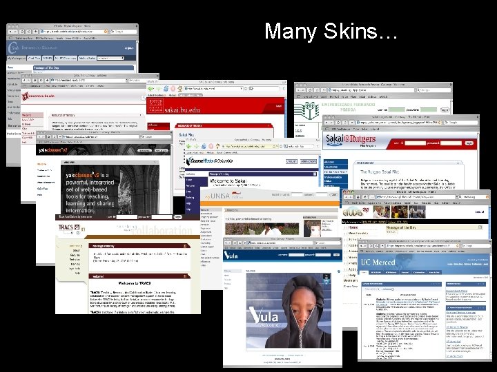 Many Skins… Text 20+ Full scale installations Many Skins… Text 20+ Full scale installations