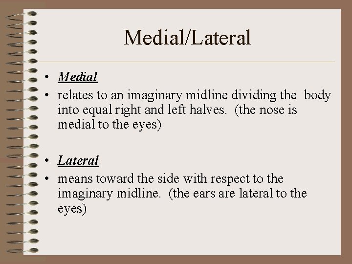 Medial/Lateral • Medial • relates to an imaginary midline dividing the body into equal