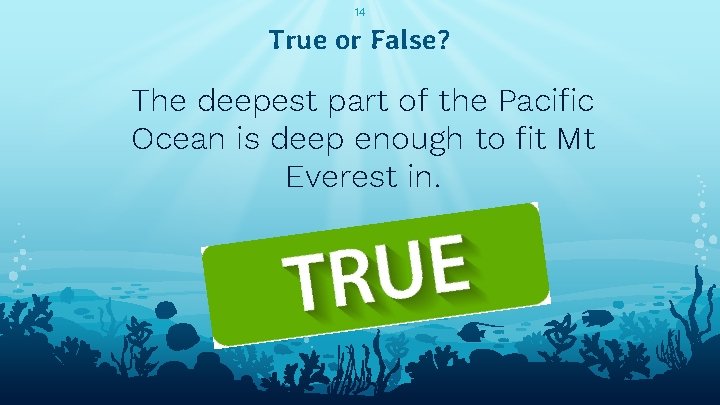 14 True or False? The deepest part of the Pacific Ocean is deep enough