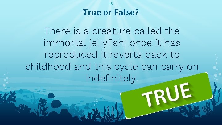 16 True or False? There is a creature called the immortal jellyfish; once it