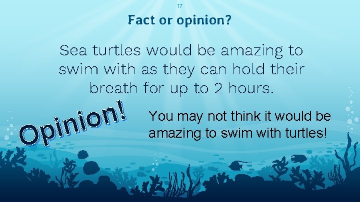 17 Fact or opinion? Sea turtles would be amazing to swim with as they