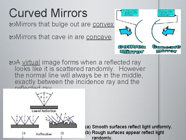 Curved Mirrors that bulge out are convex. Mirrors that cave in are concave. A