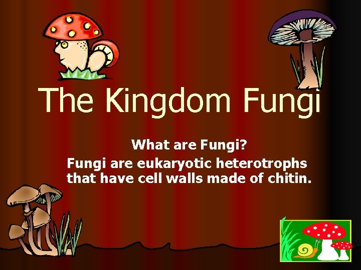 The Kingdom Fungi What are Fungi? Fungi are eukaryotic heterotrophs that have cell walls