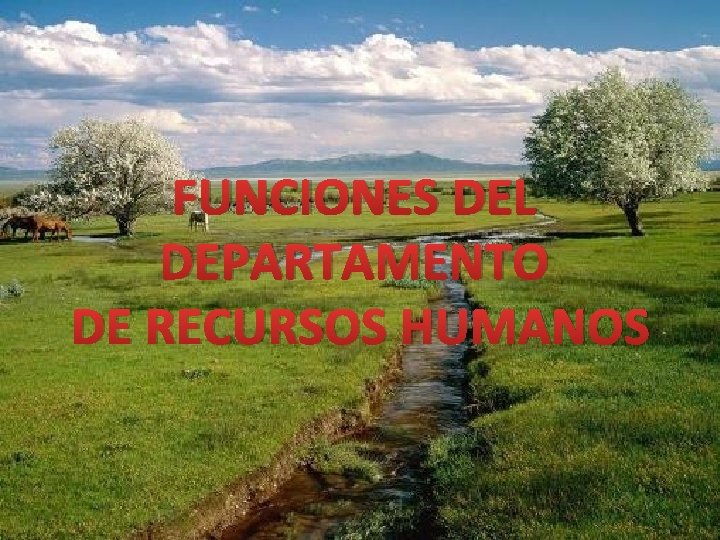 FUNCIONES DEL DEPARTAMENTO DE RECURSOS HUMANOS 