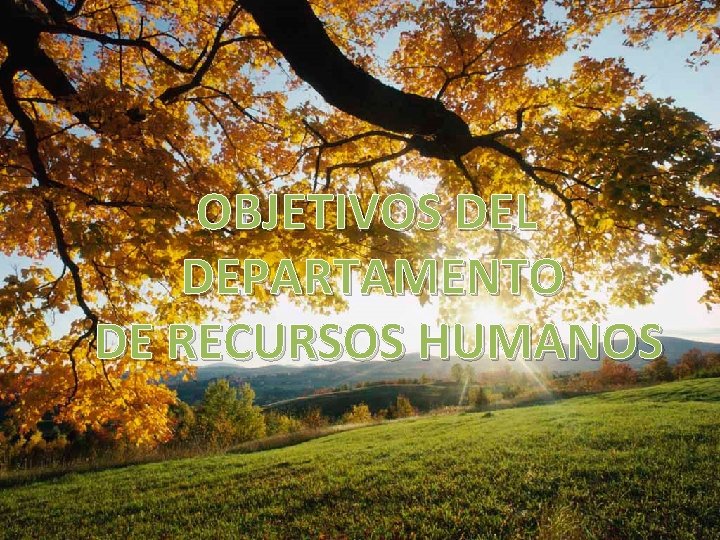 OBJETIVOS DEL DEPARTAMENTO DE RECURSOS HUMANOS 