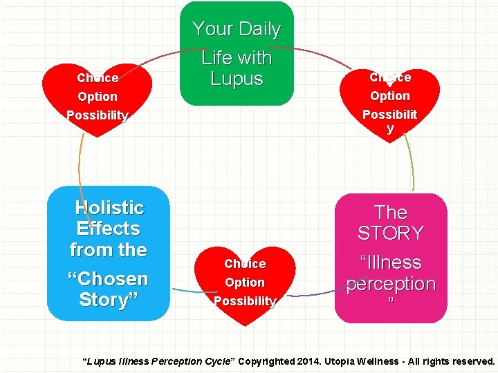 Choice Option Possibility Holistic Effects from the “Chosen Story” Your Daily Life with Lupus